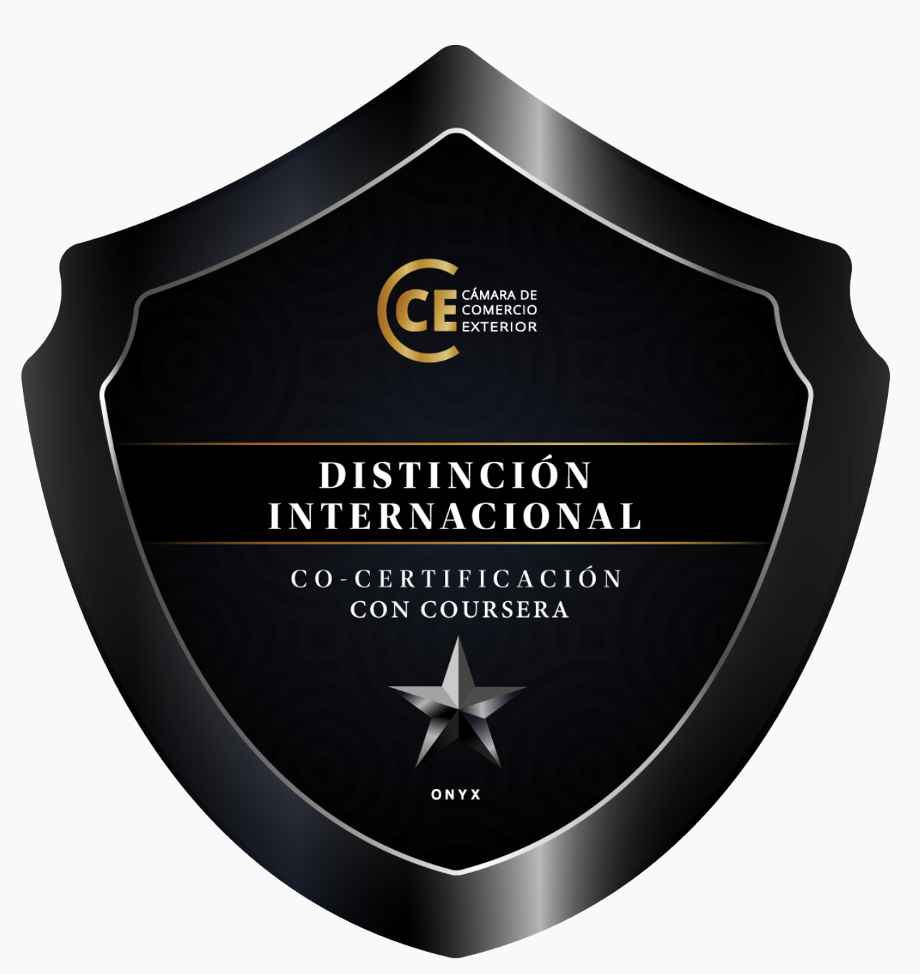 Insignia Internacional Onyx de co-certificación con Coursera